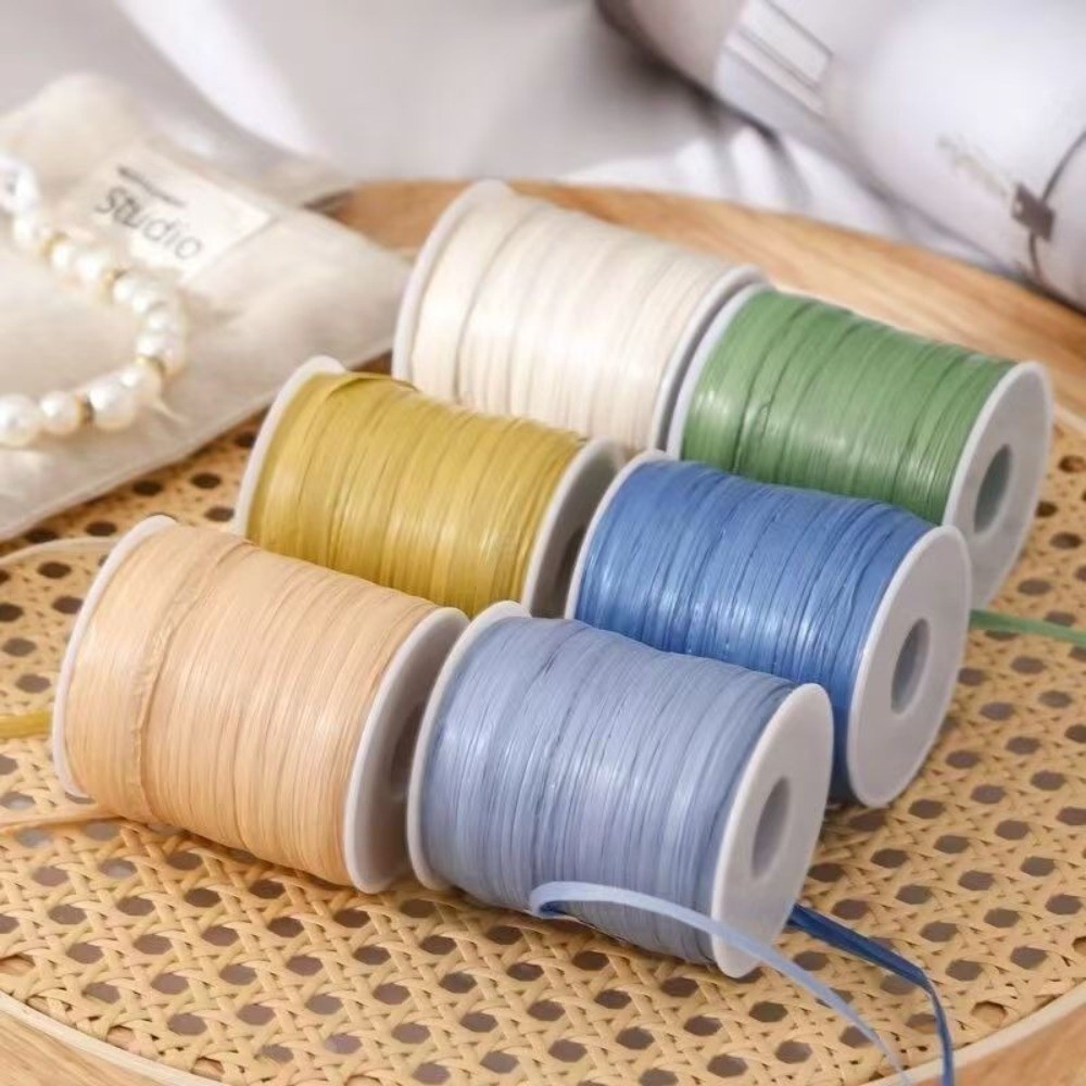 High Quality Premium Quality 1 - Crochet Bag Raffia 리뷰 및 가격